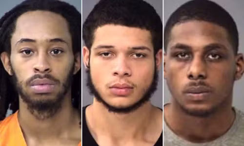 Goi pizza, ban chet nguoi giao hang roi than nhien an