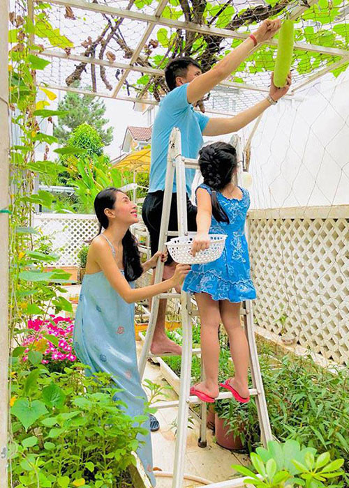 Vợ chồng sao Việt Công Vinh - Thủy Tiên có vườn rau sạch ngay trong nhà.