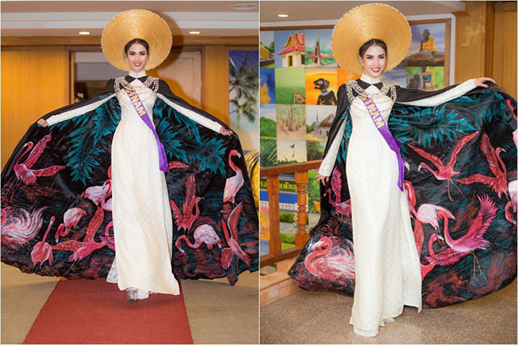 Hình ảnh Phan Thị Mơ ở phần thi trang phục Eco Tourism. Ảnh: phapluatxahoi