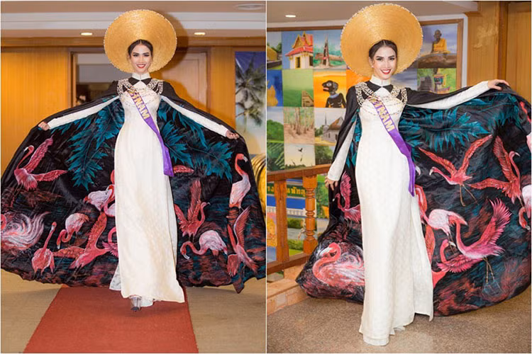 Hình ảnh Phan Thị Mơ ở phần thi trang phục Eco Tourism. Ảnh: phapluatxahoi