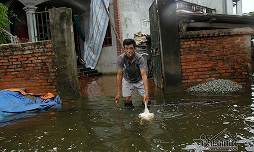 Ron lu Quoc Oai: Thoa suc cheo thuyen, boi loi vay vung khap duong lang-Hinh-14