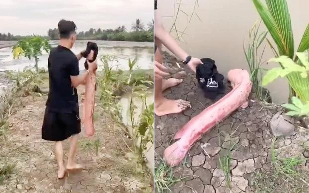 Bat duoc ca tre dot bien mau hong, chang trai so hai mang tha