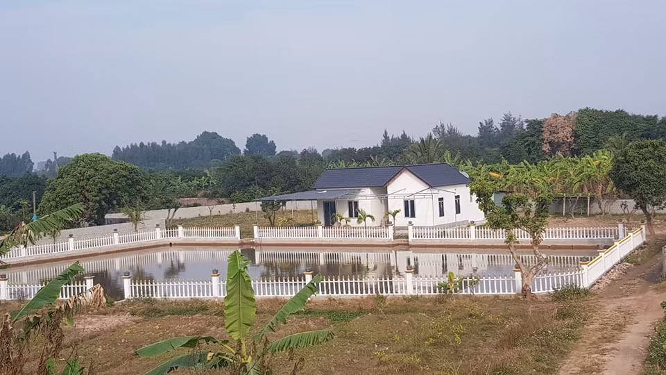 Sai pham xay dung o Hai Duong: Vi sao xa An Thuong chua quyet liet…thao do?