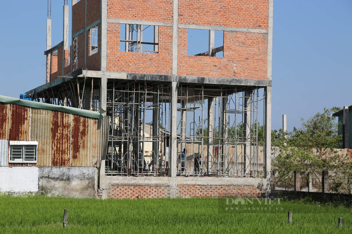 “Gần đây, tại khu đất này của bà Cao Thị Cúc có 1 khu nhà đang được xây dựng. Tuy nhiên, việc xây dựng này là trái phép, bởi xây trên đất nông nghiệp và chưa chuyển mục đích sử dụng đất. Sau khi phát hiện vi phạm, UBND xã Hòa Khánh Tây cùng ngành chức năng ở huyện tiến hành lập biên bản và đình chỉ thi công. Hiện vi phạm này cũng đang được rà soát để có hướng xử lý”, Phó Chủ tịch UBND huyện nói.