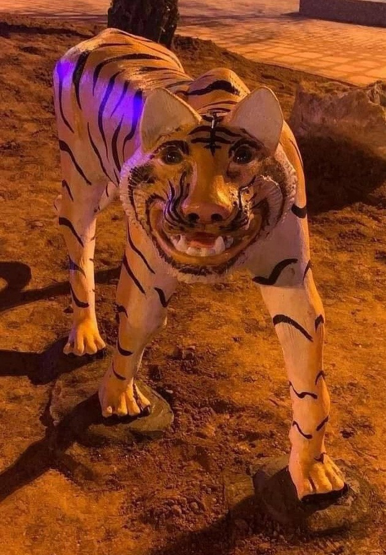 Yeu cau di doi 5 tuong ho “di dang”, gay nhom o thi xa Phu Tho-Hinh-2