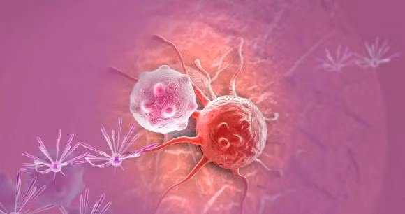 6 thói quen ăn uống trong cuộc sống này có thể đang 'nuôi' tế bào ung thư 6 thoi quen an uong trong cuoc song nay co the dang 'nuoi' te bao ung thu