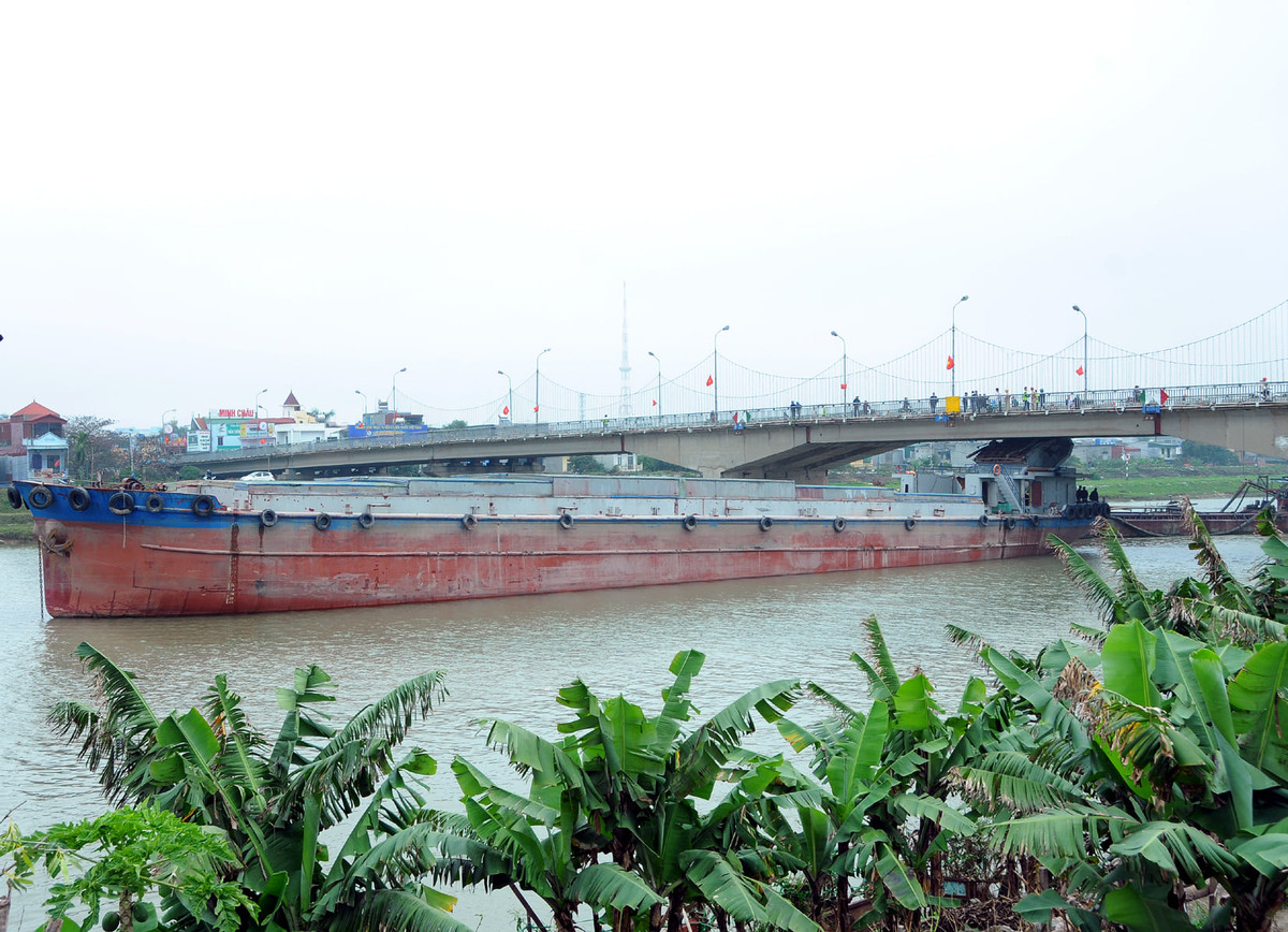 Thời điểm đó, phương tiện tàu thủy HD 3839 trong quá trình lưu thông trên tuyến đường thủy nội địa quốc gia sông Trà Lý hướng hạ lưu về thượng lưu, lái tàu quên không hạ cabin dẫn đến va chạm vào nhịp giữa cầu Thái Bình. 