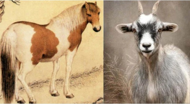  Tuổi Mùi. Đối với những người thuộc tuổi Mùi, năm Nhâm Dần 2022 là một năm khá là may mắn về đường tài lộc. Tuy cả năm tương đối vất vả nhưng chỉ cần cần cù siêng năng làm việc thì sẽ mang lại lợi nhuận dồi dào. 