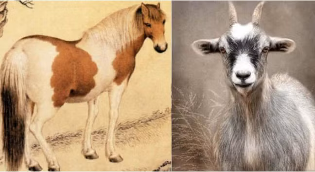  Tuổi Mùi. Đối với những người thuộc tuổi Mùi, năm Nhâm Dần 2022 là một năm khá là may mắn về đường tài lộc. Tuy cả năm tương đối vất vả nhưng chỉ cần cần cù siêng năng làm việc thì sẽ mang lại lợi nhuận dồi dào. 