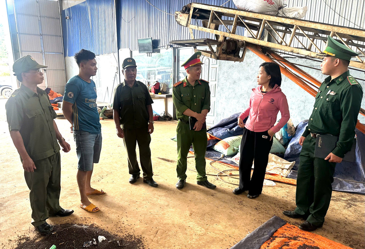 Dak Nong: Giu binh yen cho mua thu hoach ca phe-Hinh-4