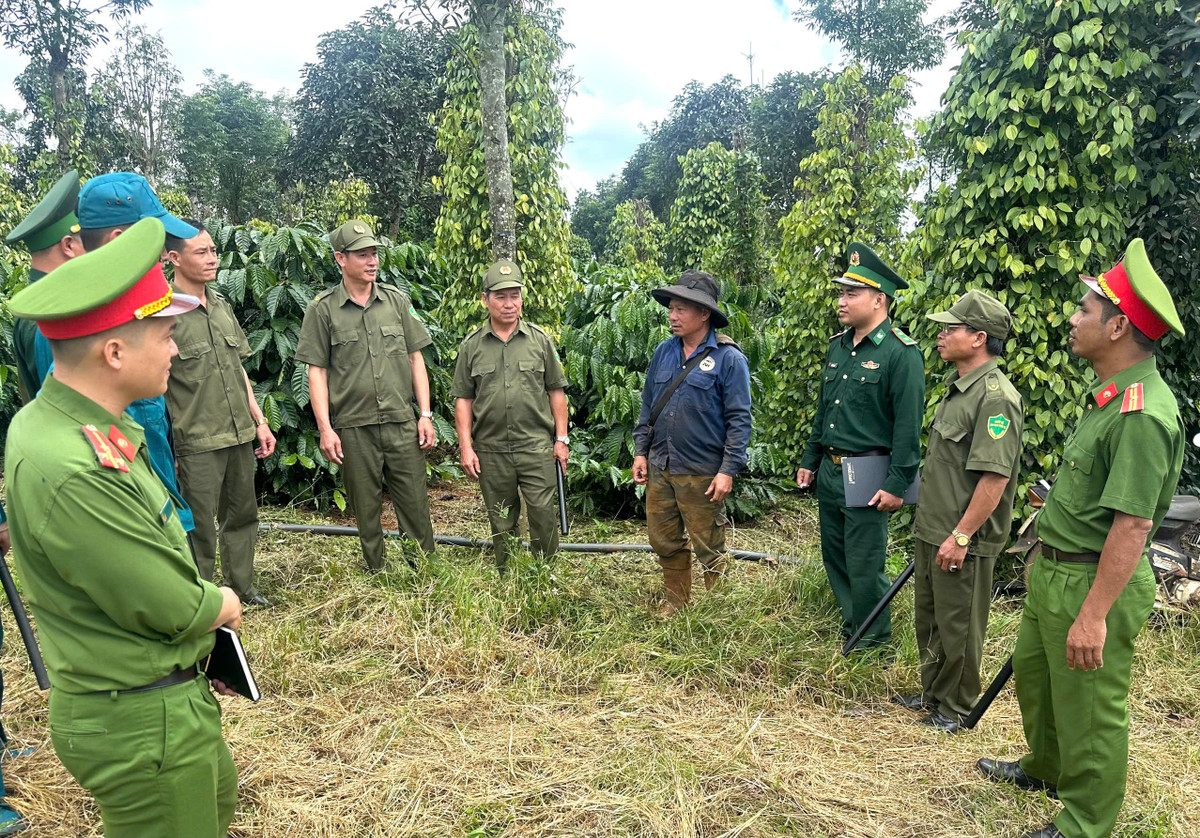 Dak Nong: Giu binh yen cho mua thu hoach ca phe-Hinh-5
