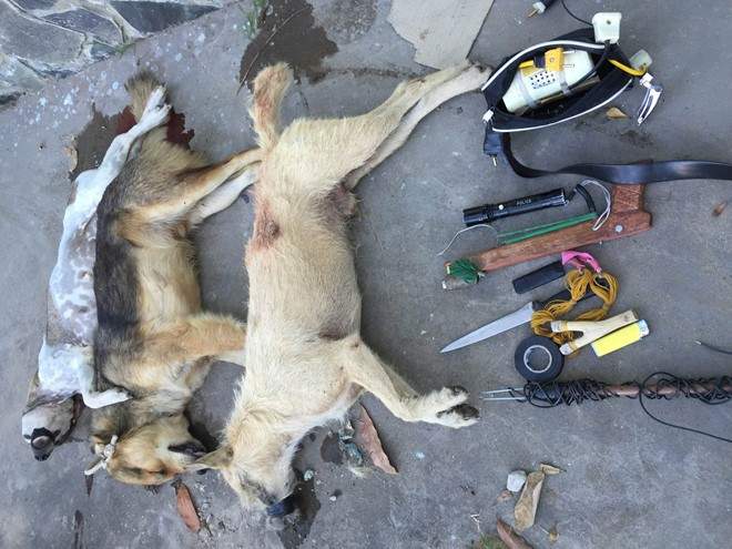 Dong Nai: 3 ke trom cho dung ot bot chong tra khi bi bat