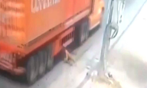 Khoanh khac nguoi dan ong lao vao container thoat chet ky la