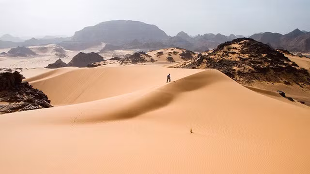 Nếu loại bỏ cát ở sa mạc Sahara, lớp đất dưới cùng sẽ là các tảng đá cứng, làm nổi bật sự đa dạng và phong phú của tầng đất sa mạc.