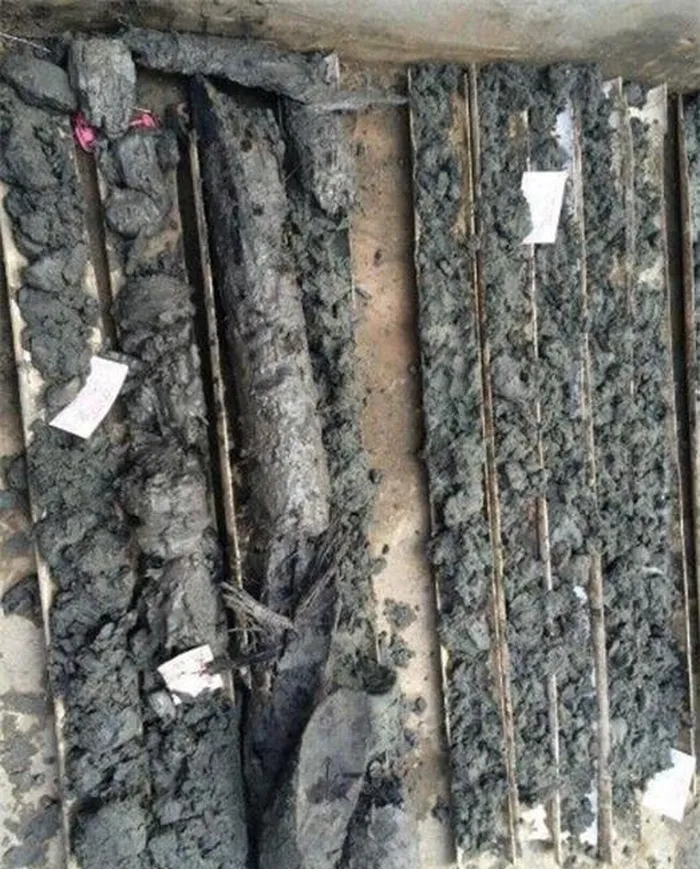 Nhà sưu tầm bảo vật Trần Mao đã xác nhận giá trị của loại gỗ này rất lớn và thậm chí có thể coi là vô giá. Các chuyên gia cũng cho rằng khu vực công trường xây dựng có thể còn chứa nhiều báu vật khác.