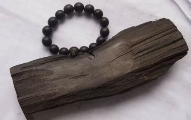 Gỗ âm trầm là một nguồn tài nguyên thiên nhiên quý báu và không tái tạo, và nó mang giá trị kinh tế cũng như văn hóa phi vật thể rất lớn.