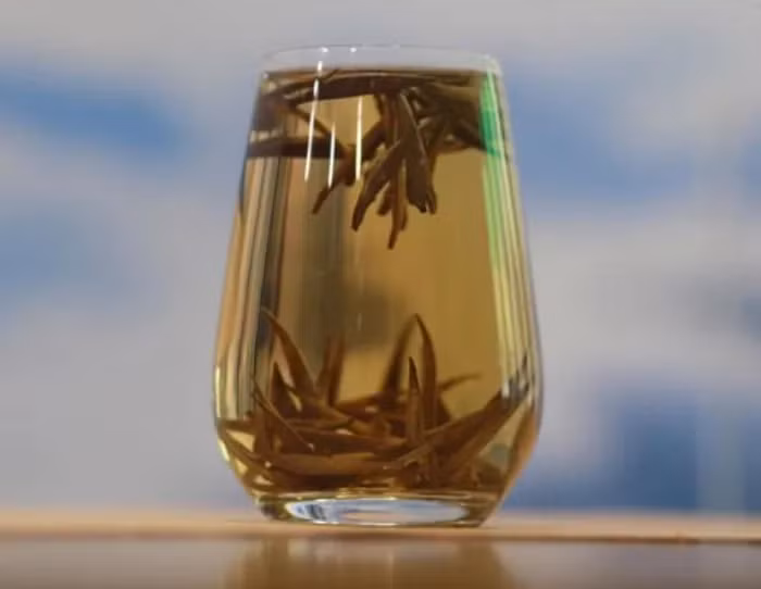 Khi pha trà Bạch Long, tận hưởng một ngụm trà, người thưởng thức cảm nhận được vị trà thấm vào từng tế bào, tạo cảm giác sảng khoái và tỉnh táo. 