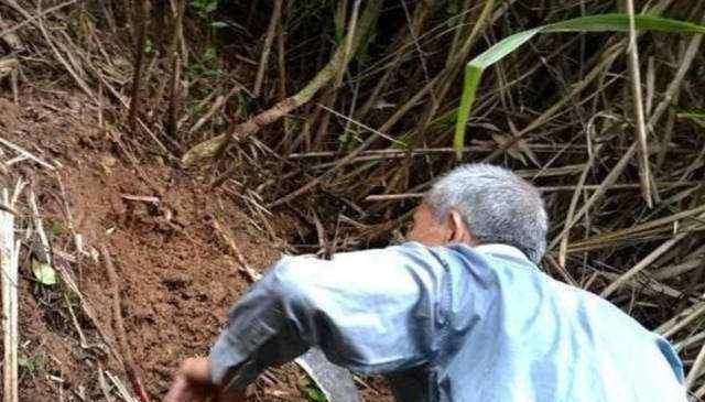 Bên trong hang động, ông tìm thấy một kho vàng thỏi, một phát hiện không thể tin được.