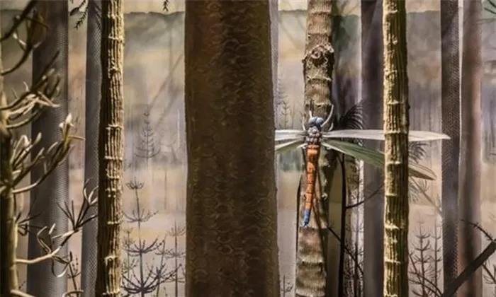 Sống hơn 275 triệu năm trước trên siêu lục địa Pangaea, Meganeuropsis permiana có sải cánh ước tính đến 71 cm, tương đương với một con chim bồ câu to.