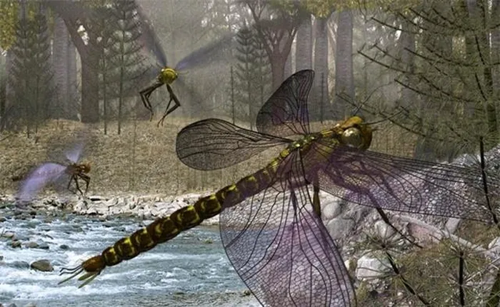 Meganeuropsis permiana được xác định đã đạt đến giới hạn phát triển của côn trùng với sải cánh lớn và hệ thống hít thở đặc biệt.