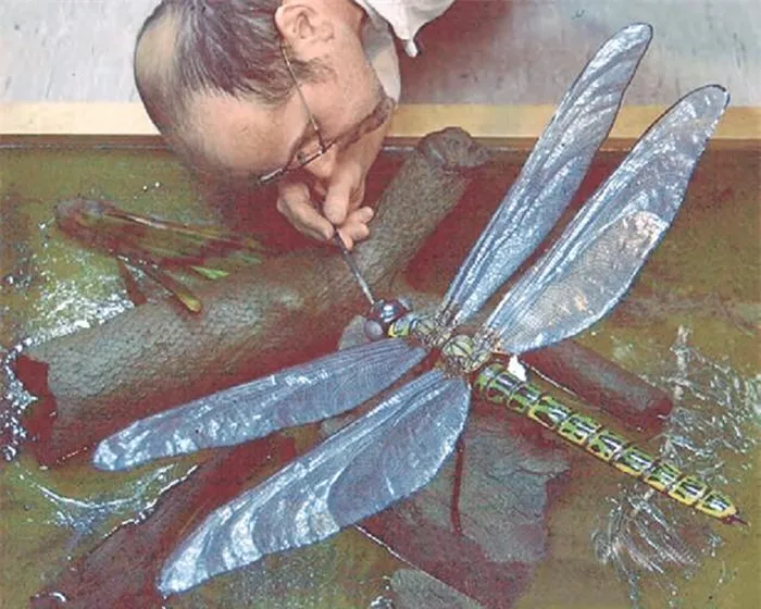 Sống vào cuối kỷ Permi, thời điểm Pangaea hình thành, côn trùng trở nên đa dạng do sự gia tăng nhiệt độ và mức độ ẩm.