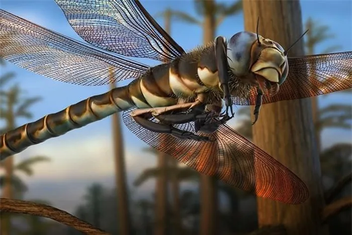 Mặc dù đã tuyệt chủng, Meganeuropsis permiana được mô tả như chuồn chuồn ngày nay.