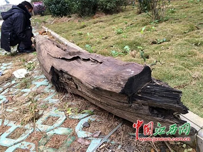 Ban đầu ông không biết giá trị thực sự của khúc gỗ này. Sau khi thực hiện một số xác minh, người ta khẳng định rằng khúc gỗ này thuộc loại gỗ mun, một loại gỗ quý đắt đỏ bậc nhất.