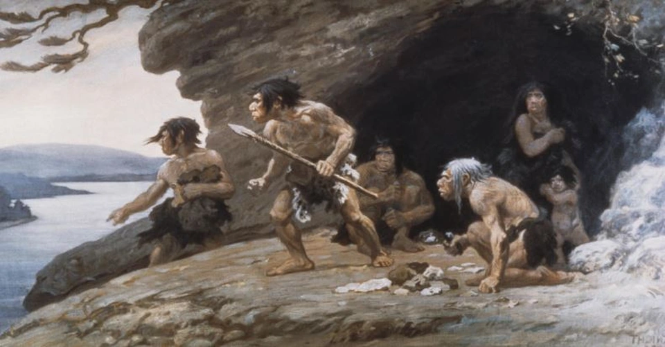 Những phát hiện này đồng thời phản ánh sự phức tạp và sự đa dạng của loài người tiền sử, giúp chúng ta thấy rõ hơn về hành trình phát triển và sự thích ứng của những người đi trước trong lịch sử tiến hóa.