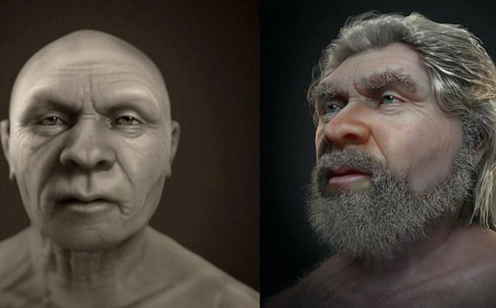 Bộ hài cốt với biệt danh là "ông già", thuộc loài người Neanderthal với các đặc điểm như cung lông mày lớn, nền sọ phẳng và hốc mắt to.