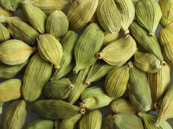 Bạch đậu khấu là một loại cây gia vị thuộc họ gừng, phổ biến ở Việt Nam và nhiều quốc gia châu Á, cũng được ưa chuộng tại Trung Đông và Ả Rập.