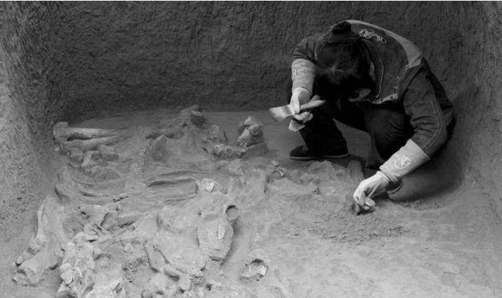 Ngoài ra, còn có trường hợp tàn khốc hơn, khi người bị tuẫn táng không chết nhanh chóng mà bị bỏ mặc trong lăng mộ đóng kín. Họ phải chịu đói khát và từ từ chết dần. Điều này có thể kéo dài trong một thời gian dài.