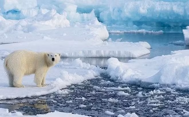 Tóm lại, "kho báu" này là thiên thạch tự nhiên, không liên quan đến người ngoài hành tinh.
