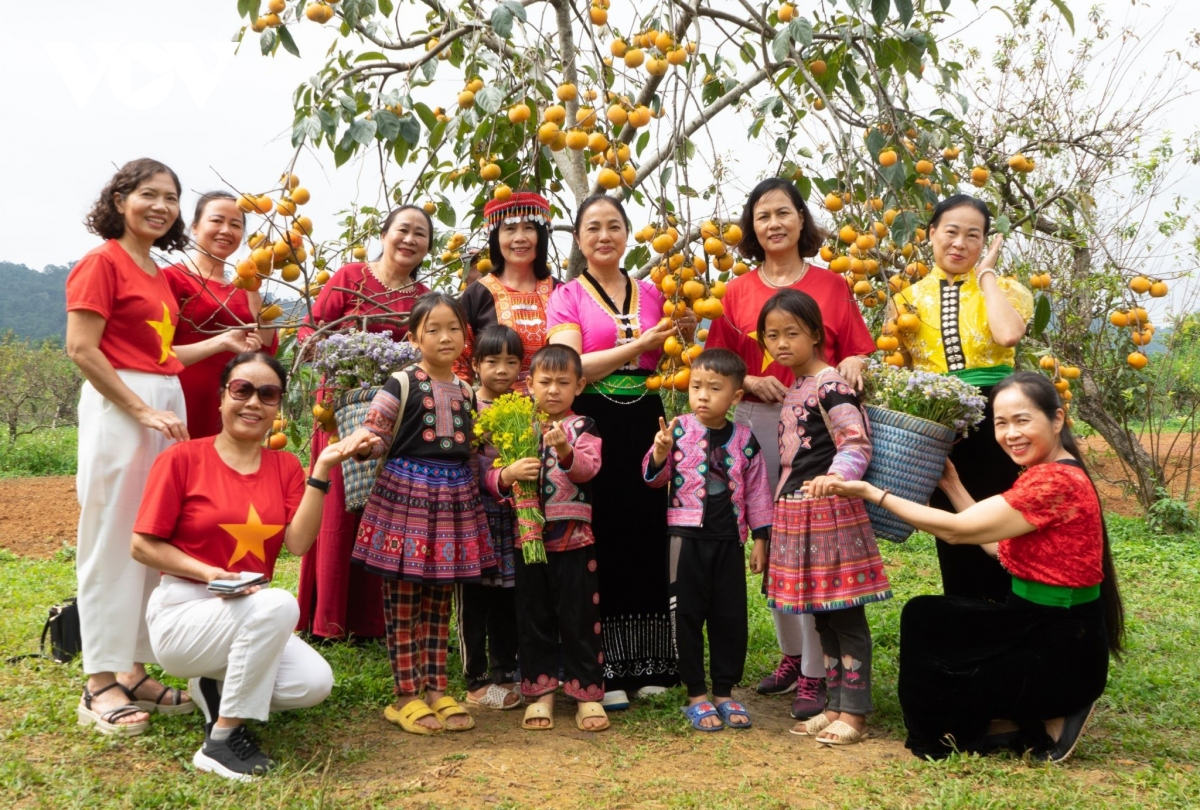 Cao nguyen Moc Chau dep dieu ky trong mua hong chin-Hinh-2