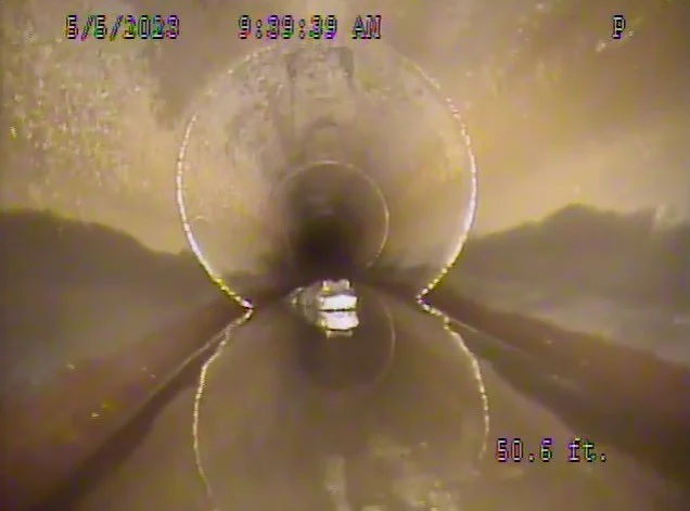 Mặc dù con cá sấu đã được "săn" bằng con robot, nhưng nhiều người tỏ ra bàng hoàng trước cảnh tượng đáng sợ và tự đặt câu hỏi về cách con cá sấu có thể xâm nhập vào hệ thống ống cống này.