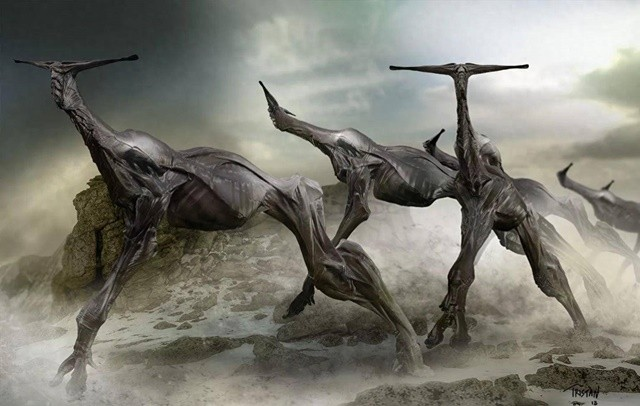 Dựa trên xem xét bộ xương và cấu trúc hóa thạch của sinh vật này, các nhà khoa học đã tìm thấy nhiều đặc điểm tương tự với loài chim cổ điển và tổ tiên của chúng.