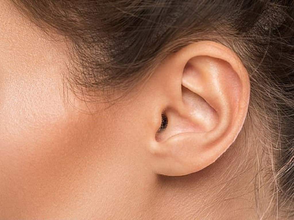 Tai người chỉ có thể nghe được trong khoảng từ 0 decibel (ngưỡng nghe) đến 120-140 decibel (ngưỡng đau). Khi âm thanh đạt 150 decibel, có thể thủng màng nhĩ con người.