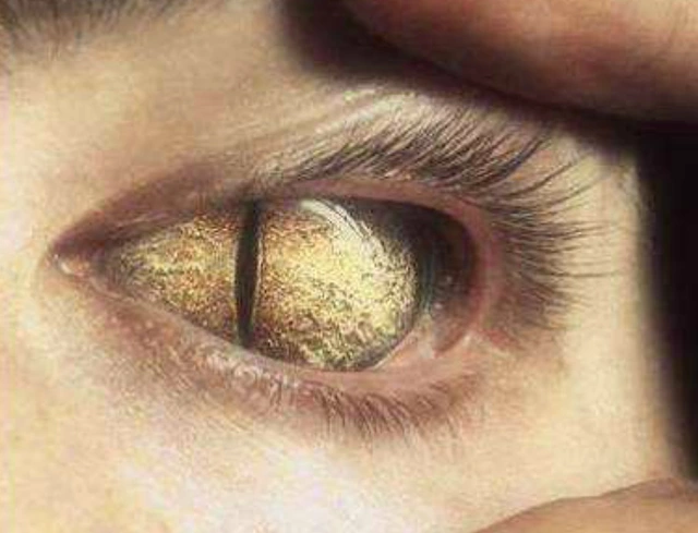 Tiến sĩ Edgar Mitchell, người từng tham gia chương trình Apollo, cũng khẳng định về sự tồn tại của người ngoài hành tinh. Ông nói rằng họ đang ẩn mình và kiểm soát quân đội.