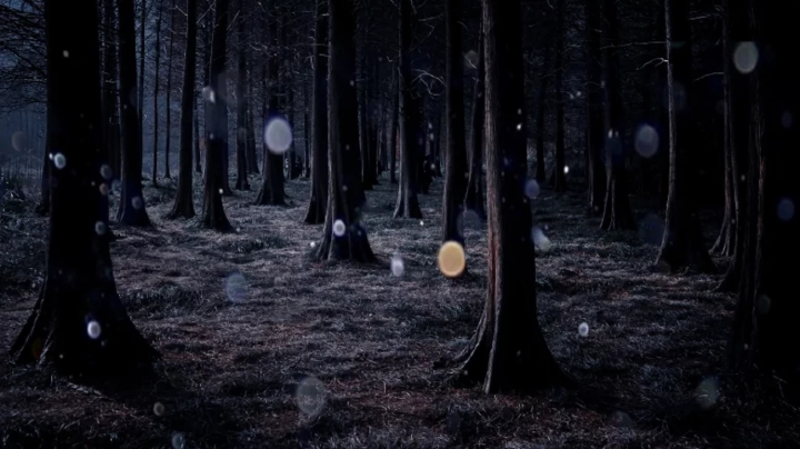 3. Căng thẳng và trải nghiệm huyền bí: Bài báo cáo "Cơ quan siêu nhiên: Các yếu tố dự đoán sự khác biệt cá nhân và các mối tương quan tình huống" cho rằng, những người trong tình trạng căng thẳng hoặc "môi trường bị đe dọa và mơ hồ" có khả năng có trải nghiệm huyền bí hơn.