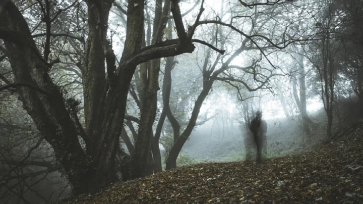 2. "Điểm lạnh" và "ngôi nhà ma ám": Các điểm lạnh hoặc ngôi nhà ma ám có thể có lý do từ những thay đổi nhiệt độ hoặc độ ẩm, không nhất thiết liên quan đến linh hồn.