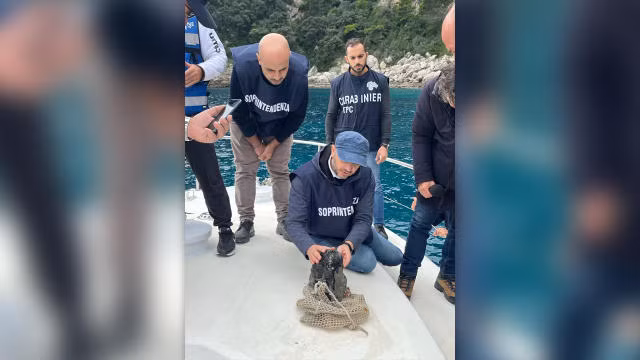 Các dấu vết của con người cổ đại trên khối thạch này cho thấy, nó có thể đã được sử dụng như một lõi để chế tạo các công cụ và vật dụng.