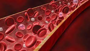 Cuối cùng, có quan điểm cho rằng nhóm máu Rh- có thể là kết quả của đột biến trong quá trình tiến hóa, được duy trì trong cộng đồng do mang lại những lợi thế chọn lọc.