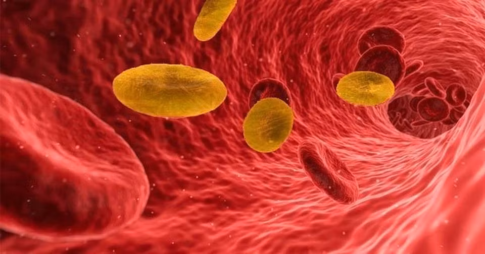 Rh- chiếm tỷ lệ rất thấp trong dân số, đặc biệt hiếm ở người Việt. Điều đặc biệt là không tìm thấy Rh- ở các loài động vật khác ngoài con người, khiến cho việc xác định tổ tiên của nhóm máu này trở nên phức tạp.