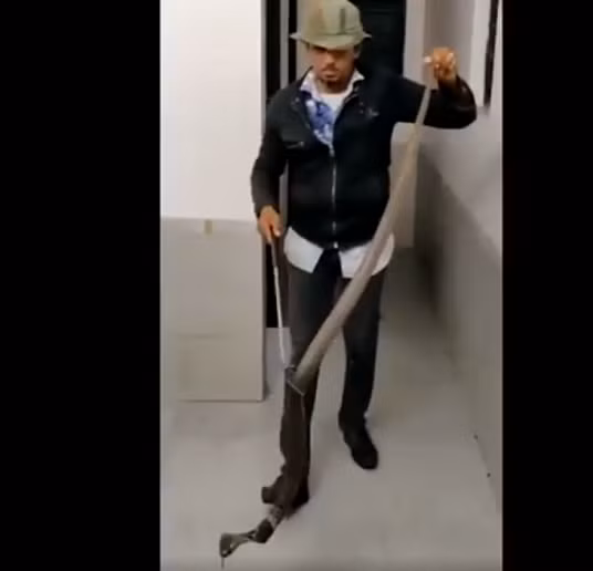 Người nhà của cô đã liên lạc với lực lượng cứu hộ rắn địa phương, họ đã nhanh chóng đến và bắt giữ con rắn.