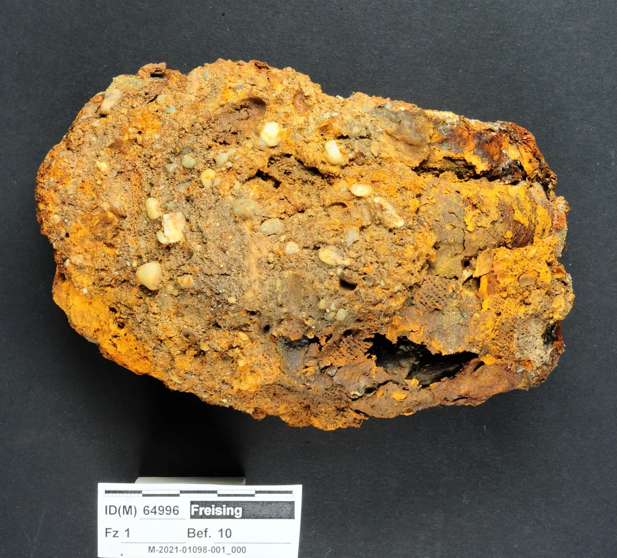 Trong hài cốt này, người ta đã phát hiện một bàn tay giả được làm từ sắt và các kim loại khác, sau đó được phủ bằng da. Bàn tay giả này bao gồm bốn ngón tay (trừ ngón cái), nhưng không có khả năng cử động và được cố định bằng dây đai. Đặc biệt, bên trong bàn tay giả, nhà khảo cổ đã tìm thấy một loại vải giống như gạc y tế, có lẽ để làm đệm lót cho phần tay bị mất.