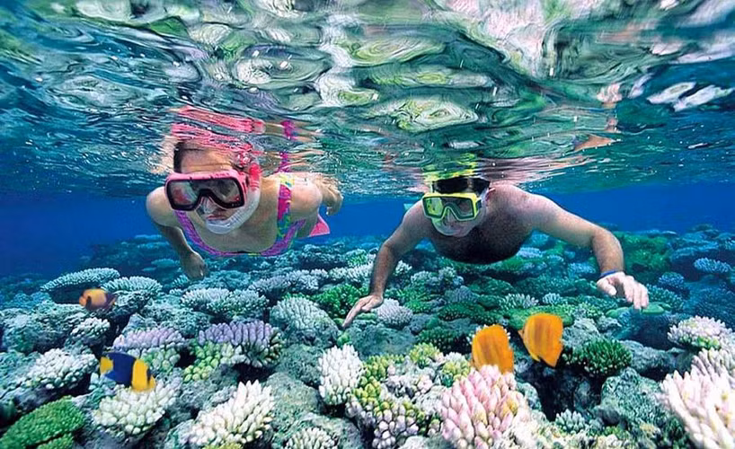 Công trình nghiên cứu cũng ghi nhận việc phát hiện một loài bọt biển màu tím mới ở Indonesia, đồng thời làm nổi bật sự quan trọng của nghiên cứu đa dạng sinh học biển.