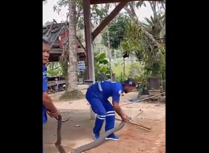 Mặc dù không có ai bị thương trong sự việc này, gia đình chủ nhà đã quyết định sửa chữa các lỗ hổng trong nhà để đảm bảo an toàn trước sự xâm nhập của động vật hoang dã.