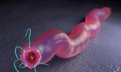 Giun dong lanh 42.000 nam co the hoi sinh va di chuyen