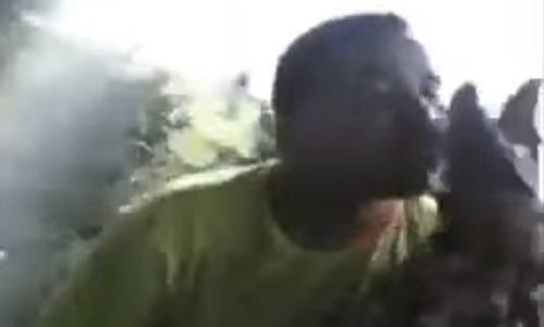 Người biểu diễn bị cá sấu đớp trúng mặt Người đàn ông bị cá sấu đớp trúng mặt đã dùng một tay nắm đuôi con cá sấu trong khi tay còn lại túm chặt cổ của nó. Những hình ảnh nó cắn xé mũi người đàn ông gây kinh hoàng.