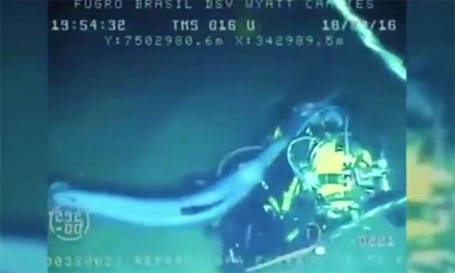 Cá kiếm lao mũi nhọn liên tiếp vào thợ lặn.