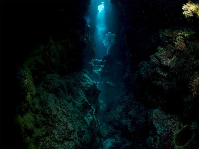 Thợ lặn bơi qua rạn san hô, tìm địa điểm quan sát thích hợp.